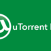 utorrent software
