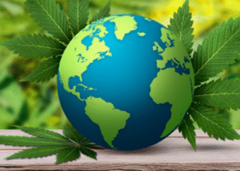 cannabis world