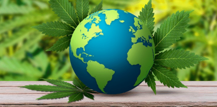 cannabis world