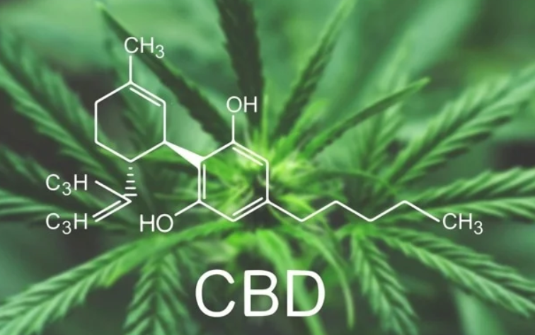 clearing the difference between cbd and thc