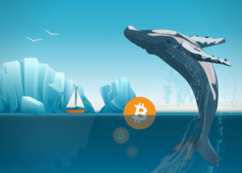 crypto whales