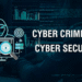 cyber crimes
