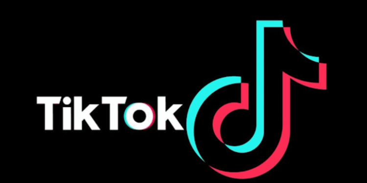 download tiktok videos