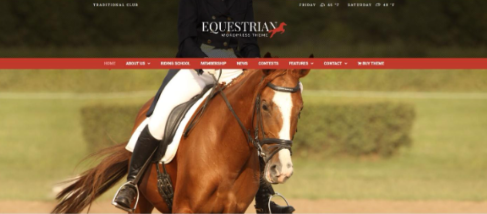 equestrian wordpress theme