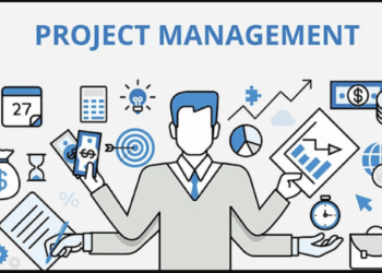 experienced project manager