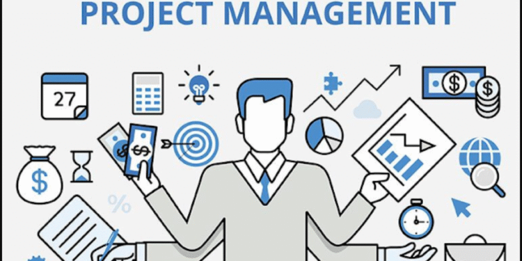 experienced project manager