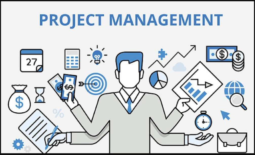 experienced project manager