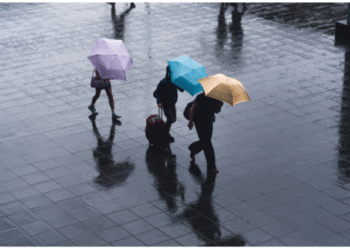 global weather forecast