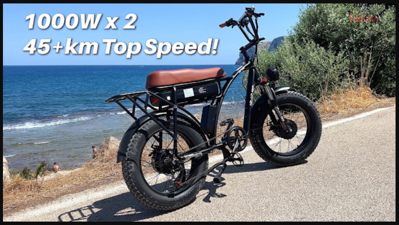 gogobest electric bike