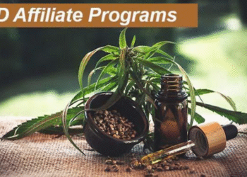 guide to promoting cbd affiliate links