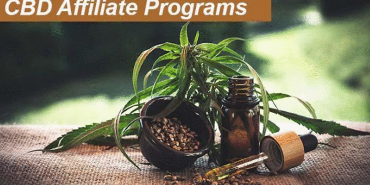 guide to promoting cbd affiliate links