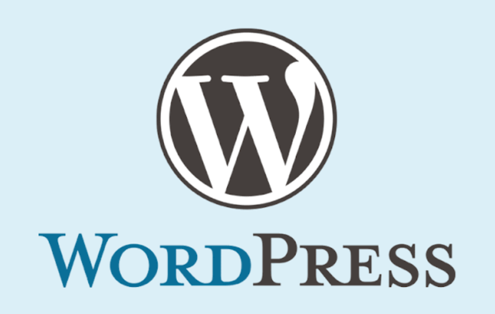 how to access source code in wordpress blog and website