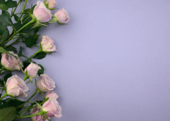 how to create an amazing video wedding invitation