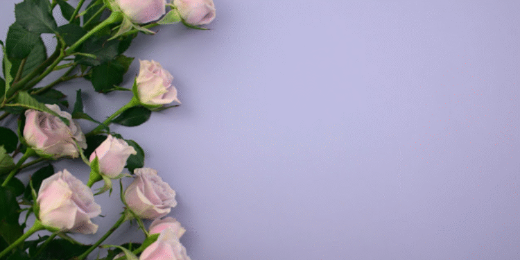 how to create an amazing video wedding invitation