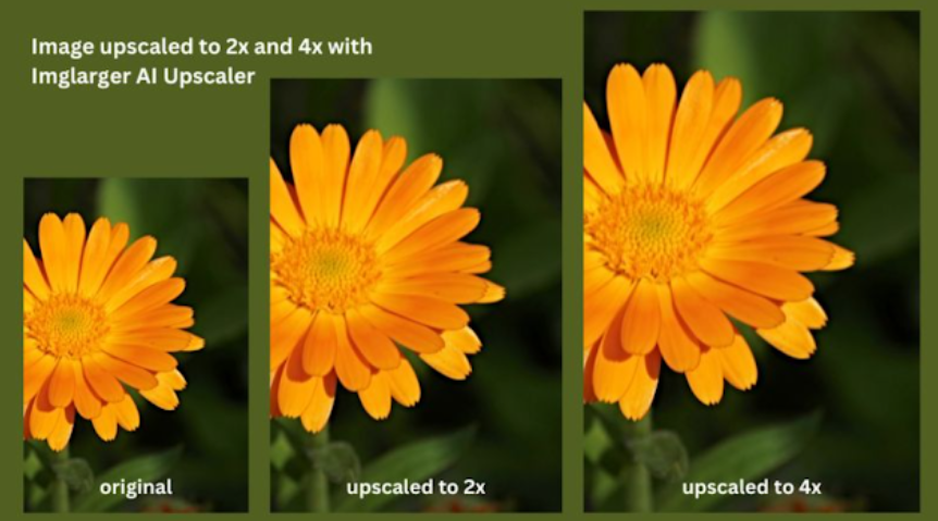 imlarger ai upscaler