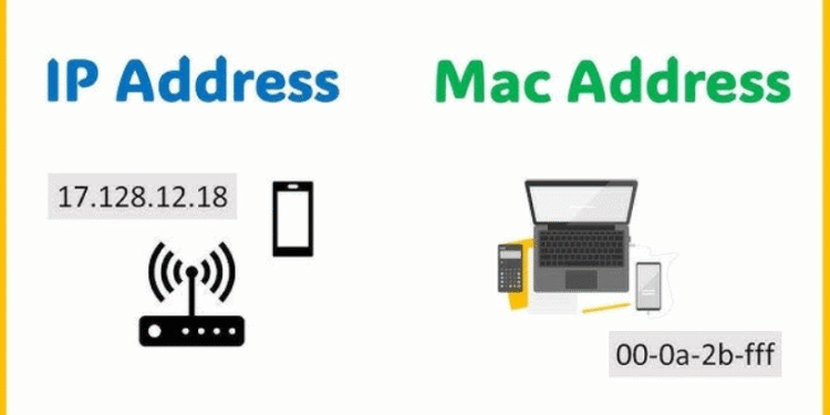 ip address and mac address