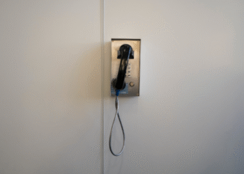 phone number lookup api