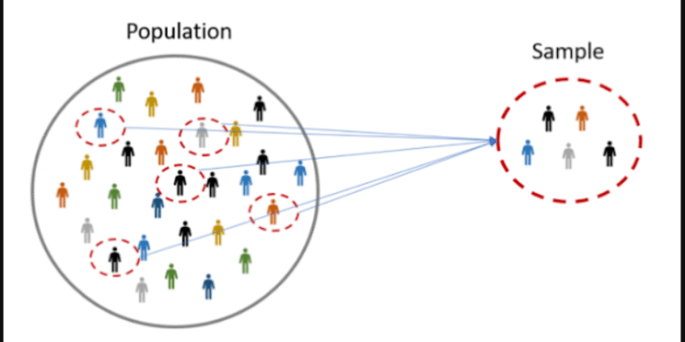 population and sample