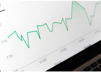 portfolio management