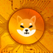 shiba inu