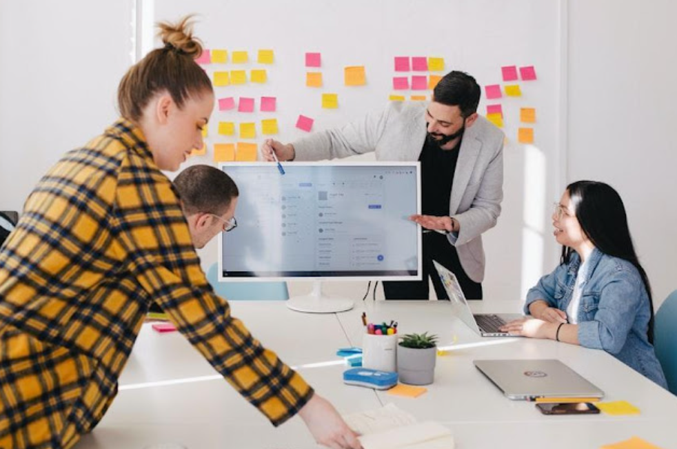 software development