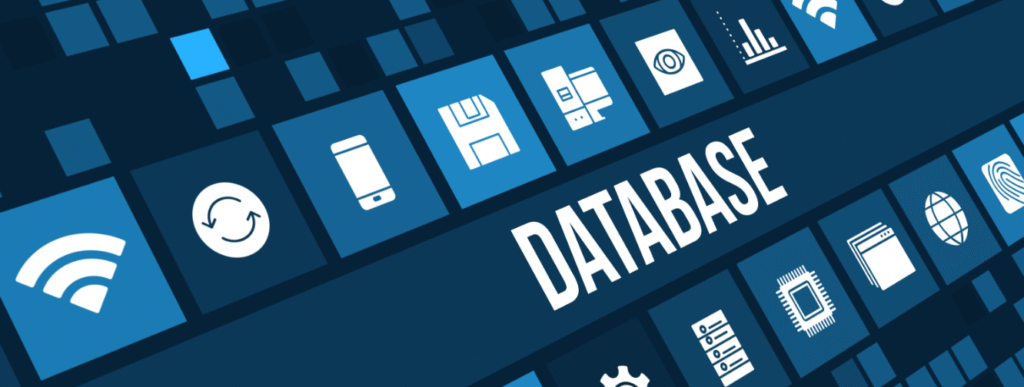 what is database