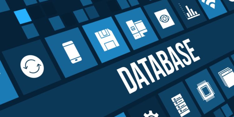what is database