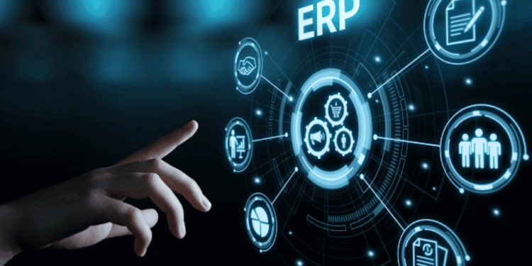 what type of business can benifit from the erp system