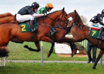 why smartphone betting is good