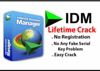 internet download manager idm