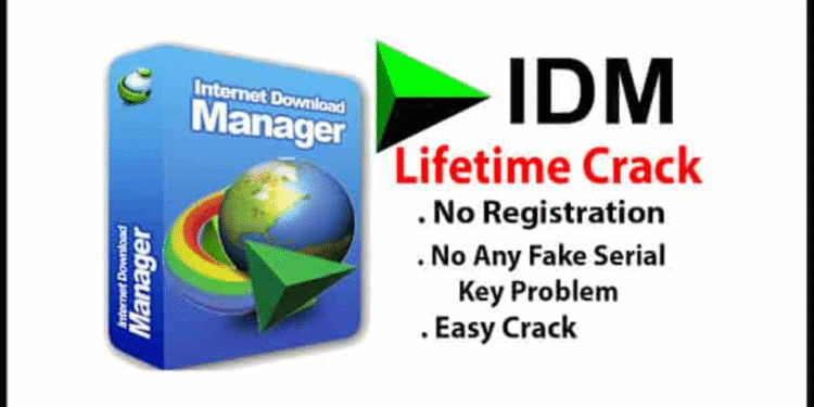 internet download manager idm