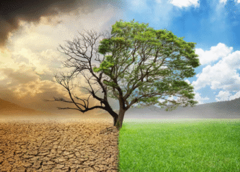 scarcity versus abundance